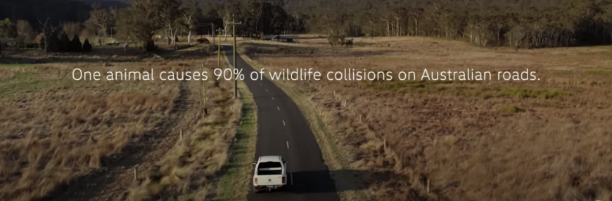 VW's ‘RooBadge’ kangaroo accident campaign signals an automotive reinvention