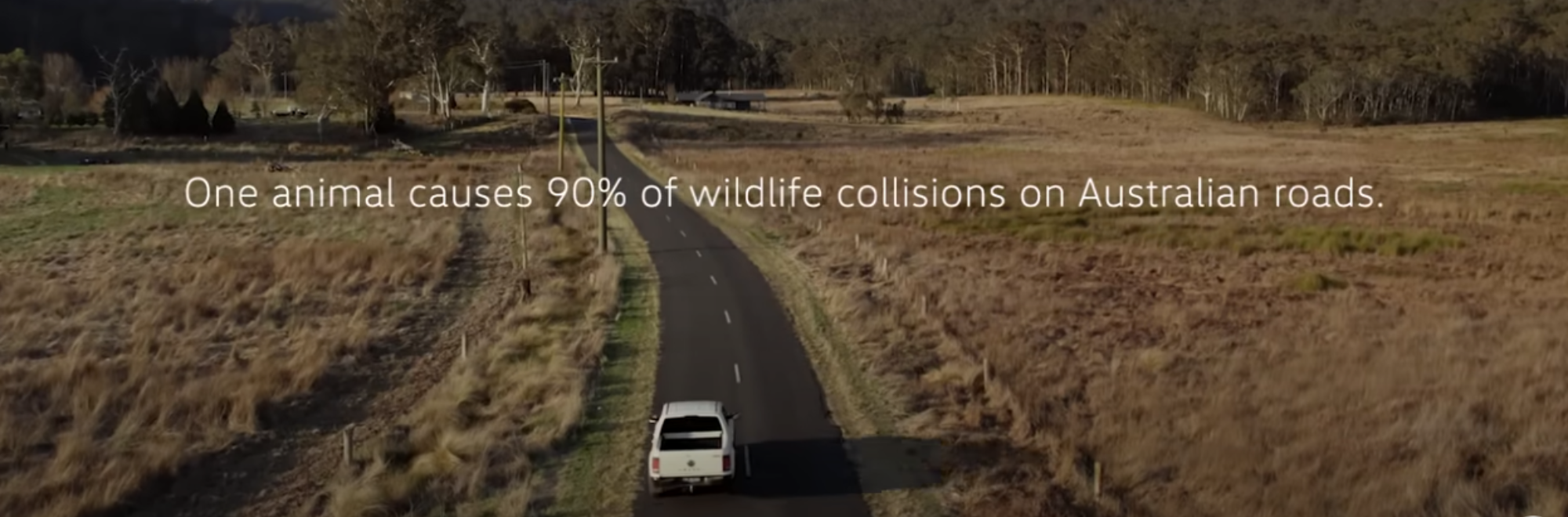 VW's ‘RooBadge’ kangaroo accident campaign signals an automotive reinvention