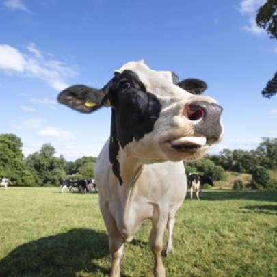 Waitrose launches 'Food to Feel Good About' celebrating food that makes a positive difference