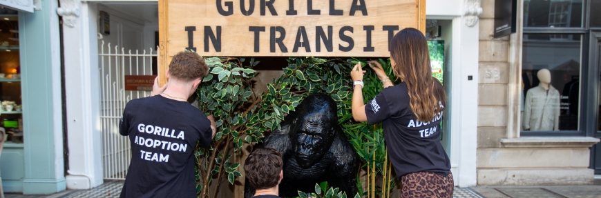 What a five foot plastic gorilla taught us about AI visibility