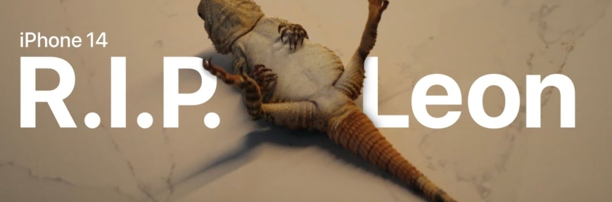 Work Of The Week: Apple uses a lizard playing dead to push its unsend feature