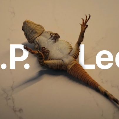 Work Of The Week: Apple uses a lizard playing dead to push its unsend feature