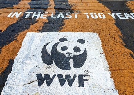 Wwf Stop Wildlife Trafficking5